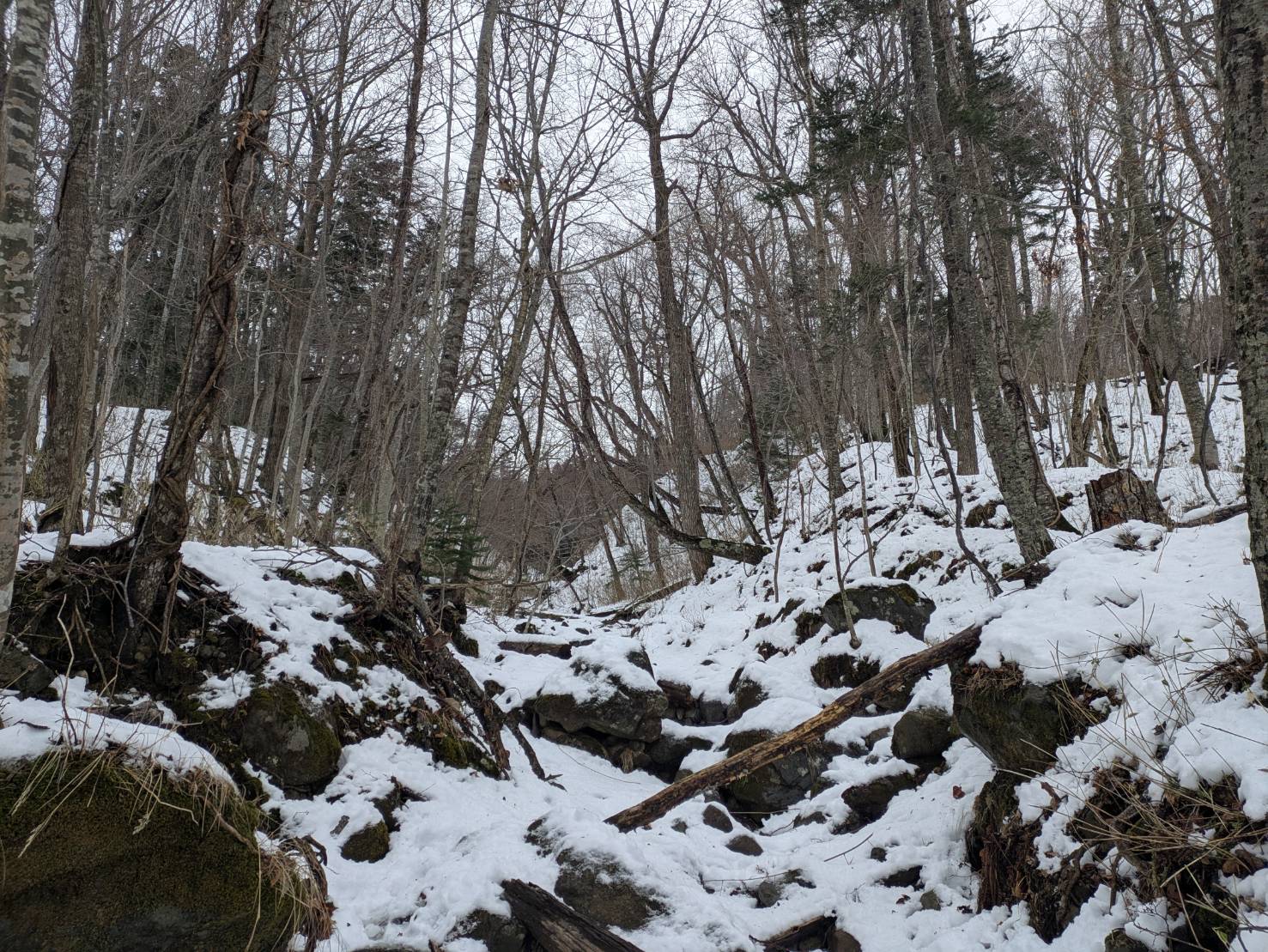 Description of the image